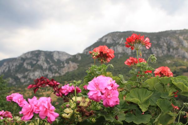 Hotel Pensiune Safrane (Baie Herculane)